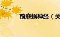 前庭蜗神经（关于前庭蜗神经）