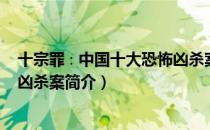 十宗罪∶中国十大恐怖凶杀案（关于十宗罪∶中国十大恐怖凶杀案简介）