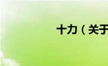 十力（关于十力简介）