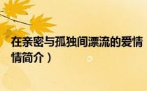在亲密与孤独间漂流的爱情（关于在亲密与孤独间漂流的爱情简介）