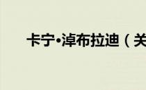 卡宁·淖布拉迪（关于卡宁·淖布拉迪）