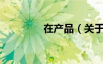 在产品（关于在产品简介）