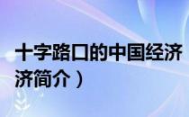 十字路口的中国经济（关于十字路口的中国经济简介）