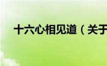 十六心相见道（关于十六心相见道简介）