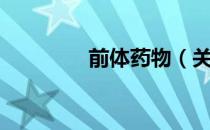 前体药物（关于前体药物）