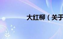 大红柳（关于大红柳简介）