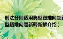 刑法分则适用典型疑难问题新释新解（关于刑法分则适用典型疑难问题新释新解介绍）