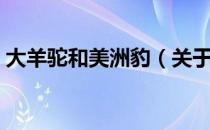大羊驼和美洲豹（关于大羊驼和美洲豹简介）