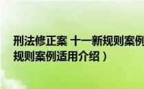 刑法修正案 十一新规则案例适用（关于刑法修正案 十一新规则案例适用介绍）