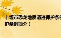 十堰市恐龙地质遗迹保护条例（关于十堰市恐龙地质遗迹保护条例简介）