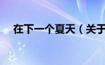 在下一个夏天（关于在下一个夏天简介）