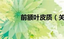 前额叶皮质（关于前额叶皮质）