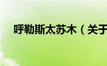 呼勒斯太苏木（关于呼勒斯太苏木介绍）
