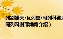 列别捷夫·瓦列里·阿列科谢耶维奇（关于列别捷夫·瓦列里·阿列科谢耶维奇介绍）