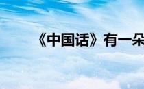 《中国话》有一朵奇葩（一朵奇葩）