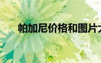 帕加尼价格和图片大全（帕加尼价格）