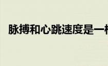 脉搏和心跳速度是一样的吗（脉搏和心跳）