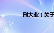 刑大业（关于刑大业介绍）
