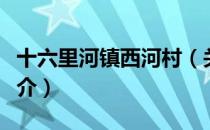 十六里河镇西河村（关于十六里河镇西河村简介）
