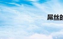 屌丝的含义