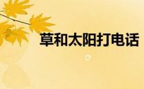 草和太阳打电话（草给日打电话）