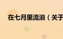 在七月里流浪（关于在七月里流浪简介）