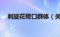 刺旋花磴口群体（关于刺旋花磴口群体）