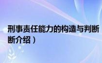 刑事责任能力的构造与判断（关于刑事责任能力的构造与判断介绍）