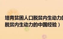 培育贫困人口脱贫内生动力的中国经验（关于培育贫困人口脱贫内生动力的中国经验）