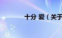 十分 爱（关于十分 爱简介）