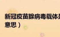 新冠疫苗腺病毒载体是什么意思（载体是什么意思）