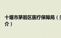 十堰市茅箭区医疗保障局（关于十堰市茅箭区医疗保障局简介）