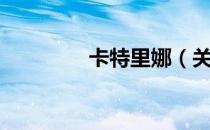 卡特里娜（关于卡特里娜）