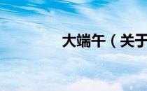 大端午（关于大端午简介）