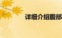详细介绍腹部减脂运动方法