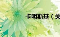 卡明斯基（关于卡明斯基）