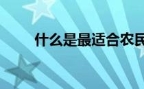 什么是最适合农民的最佳步行体重 
