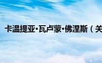 卡温提亚·瓦卢蒙·佛涅斯（关于卡温提亚·瓦卢蒙·佛涅斯）