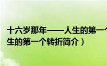 十六岁那年——人生的第一个转折（关于十六岁那年——人生的第一个转折简介）