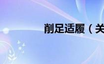削足适履（关于削足适履）