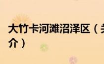 大竹卡河滩沼泽区（关于大竹卡河滩沼泽区简介）