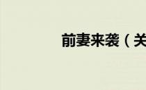 前妻来袭（关于前妻来袭）