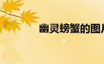 幽灵螃蟹的图片（幽灵螃蟹）