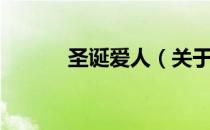 圣诞爱人（关于圣诞爱人简介）