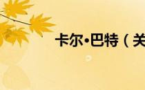 卡尔·巴特（关于卡尔·巴特）