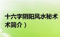 十六字阴阳风水秘术（关于十六字阴阳风水秘术简介）