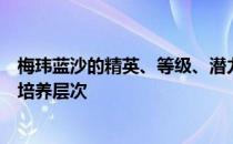 梅玮蓝沙的精英、等级、潜力、技能、信任度有哪些推荐的培养层次 