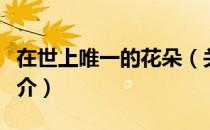 在世上唯一的花朵（关于在世上唯一的花朵简介）
