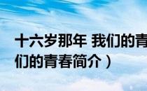 十六岁那年 我们的青春（关于十六岁那年 我们的青春简介）