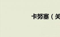 卡努塞（关于卡努塞）